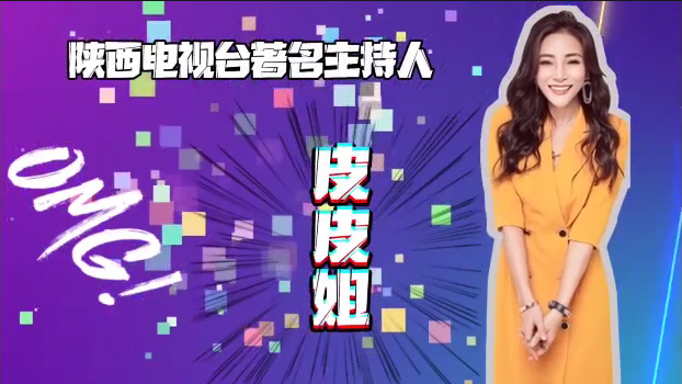 陜西電視臺(tái)皮皮姐帶你了解萬通！