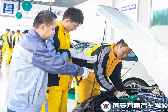 愛車遇到小毛病，萬姐給你支支招！